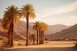 Calm desert view with palm trees