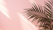 Palm leaves and shadow,Light pink background for product presentation with natural light and shadow