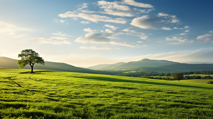 Wall Mural - field and blue sky