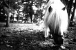Monochrome Elegance: Pony in Black and White