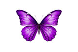 Fototapeta Motyle - Purple Butterfly on Transparent Background, PNG, Generative Ai