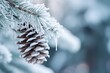 frozen fir branch with pinecone in winter nature