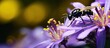 A closeup macro shot of a beautiful purple blossom reveals the stunning beauty of nature s wildlife with a black insect perched on a yellow plant in the background