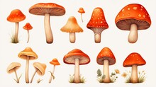 Icon Of Mushroom