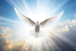 Ethereal Symbol: Dove in Divine Glow