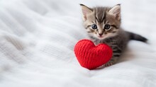 Valentines Day Background Cute Kitty And Red Knitted Heartspace At The White Background,copy Space.