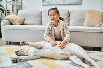 Wall Mural - happy cute girl in casual attire smiling and stroking dog in modern living room, kid and labrador