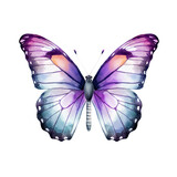 Fototapeta Motyle - Watercolor Butterfly Clipart Illustration. Isolated elements on a white background.