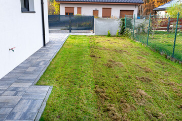 Scarifying the lawn before the winter season using an electric scarifier.