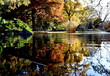 Teich im Freiburger Stadtgarten im Herbst