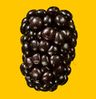 blackberries on yellow background