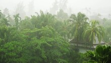 Pouring Rain In The Tropical Climate On The Island In Thailand. Palm Trees And Green Forest Under Rainfall During Monsoon Season