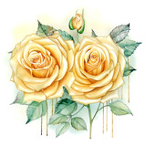Fototapeta  - Namalowane złote róże dekoracja