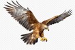 Golden eagle flying, 3D illustration with transparent background. Generative AI
