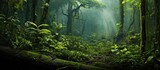 In the lush tropical jungle the vibrant green moss covered the forest floor providing a natural camouflage for the predatory animals and insects while the diverse fauna and wildlife thrived 