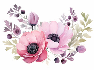 Wall Mural - Watercolor illustracion of bouquet of  anemones flowers in delicate rose serene colors on white