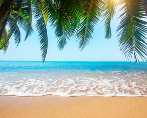 Wall Mural - tropical beach with coconut palm