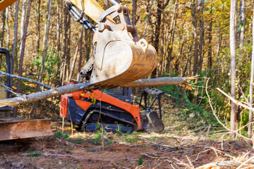 Wall Mural - With help of tractor builder uproots trees at forest in preparation for construction