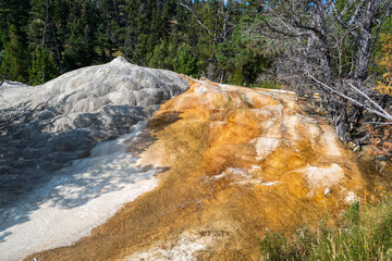 Wall Mural - Orange Spring Mound near Mammoth Hot Springs, Yellowstone National Park