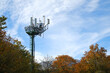 Nature vs. Technology: Harmony in Contrast. communications antenna among autumn trees.