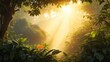 © Ibrahim - sun rays in the forest