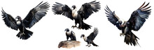 Condor Bird Watercolor Illustration Clipart. Generative AI