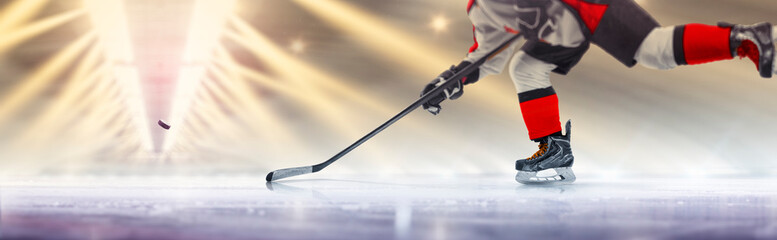 Wall Mural - Hockey player in action close-up. Hockey player in beautiful ice rink. Hockey concept. Hockey training. Ice