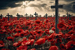 Soldiers graves marked with crosses stand in a poppy field. Remembrance day background 