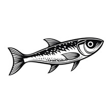 Sardine Fish Woodcut Print Style Vector Design