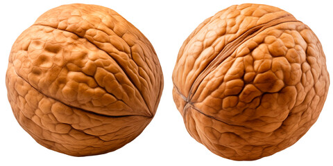 The walnut on a transparent background