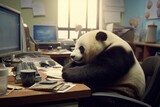 Fototapeta  - Photo Panda being lazy in the office, Generative AI