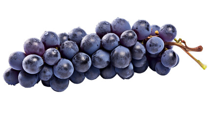 Wall Mural - Bunch of blue grapes dry isolated on transparent background, Generative ai