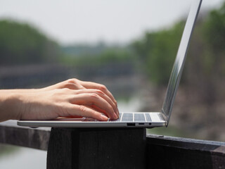 Wall Mural - young woman's hands typing data on laptop on the background the trees are blurred.