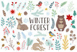 Fototapeta Pokój dzieciecy - Winter forest floral and animals design elements