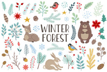 Winter Forest Floral And Animals Design Elements