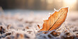 Fall Winter, Autumn Leaves And Frosty Surface, Closeup of frosted leaves, Dry Autumn Leaves Piles And Falling On The Ground, Frost Covered Leaves, generative Ai