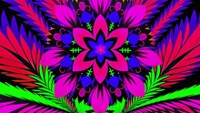 Bright And Psychedelic Floral Background. Seamless Loop Animation