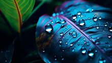 Water Drops On A Blue Leaf In The Rainforest. Wallpaper Background Illustration.