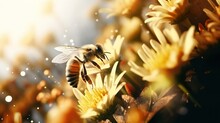 A Bee In Nature Pollinate