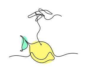 Wall Mural - Color drawing line lemon with hand on the white