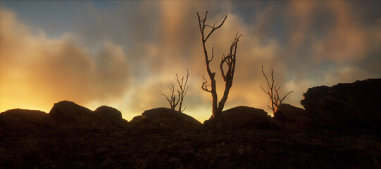 Wall Mural - Arid landscape with rocks and dead trees under a cloudy sky at sunset.