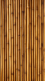 Fototapeta Sypialnia - Wooden bamboo wall background.Texture of bamboo fence. 