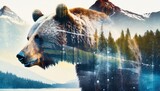 Fototapeta  - A grizzly bear and the Pacific Northwest, double exposure style photography