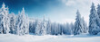© Uwe - wallpaper of snow covered pine trees during daytime
