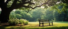 In The Old Wood Park A Natural And Relaxing Outdoor Bench Sits Amidst The Green Garden Providing A Fresh Air Experience And A Green Park Background For Those Seeking Solace In Nature