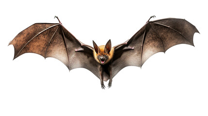 Flying bat isolated on transparent background, image with background removed, created with Generative Ai technology.