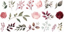 Watercolour Floral Illustration Individual Elements Set - Green Leaves, Bur Peach Blush White Flowers, Branches. Wedding Invitations Fashion Prints. Eucalyptus, Olive, Peony, Generative AI