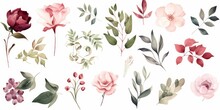 Watercolour Floral Illustration Individual Elements Set - Green Leaves, Bur Peach Blush White Flowers, Branches. Wedding Invitations Fashion Prints. Eucalyptus, Olive, Peony, Generative AI