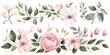 Watercolor floral illustration elements set - green leaves, pink peach blush white flowers, branches. Wedding invitations, greetings, fashion, prints. Eucalyptus, olive, peony, rose, Generative AI