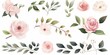 Watercolor floral illustration elements set - green leaves, pink peach blush white flowers, branches. Wedding invitations, greetings, wallpapers, fashion, prints. Eucalyptus, olive,peony,Generative AI